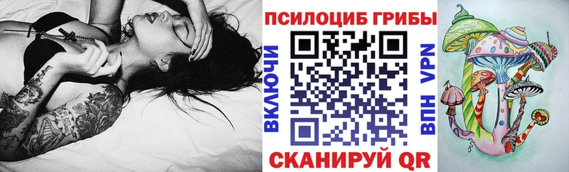 Галлюциногенные грибы Psilocybine cubensis  Купить  Наволоки 