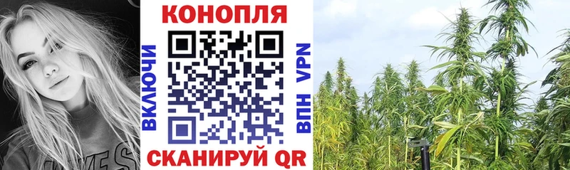 Шишки марихуана THC 21%  Купить  Наволоки 